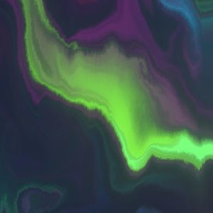 Meet your Posher, Dani